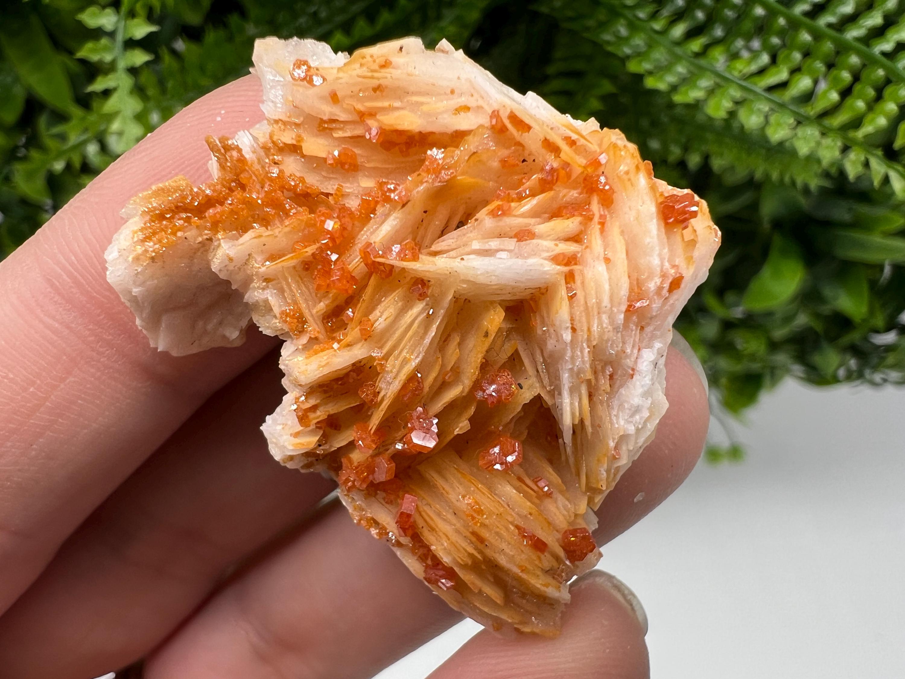 Red Vanadinite on Barite, Morocco Crystal Mineral Specimen