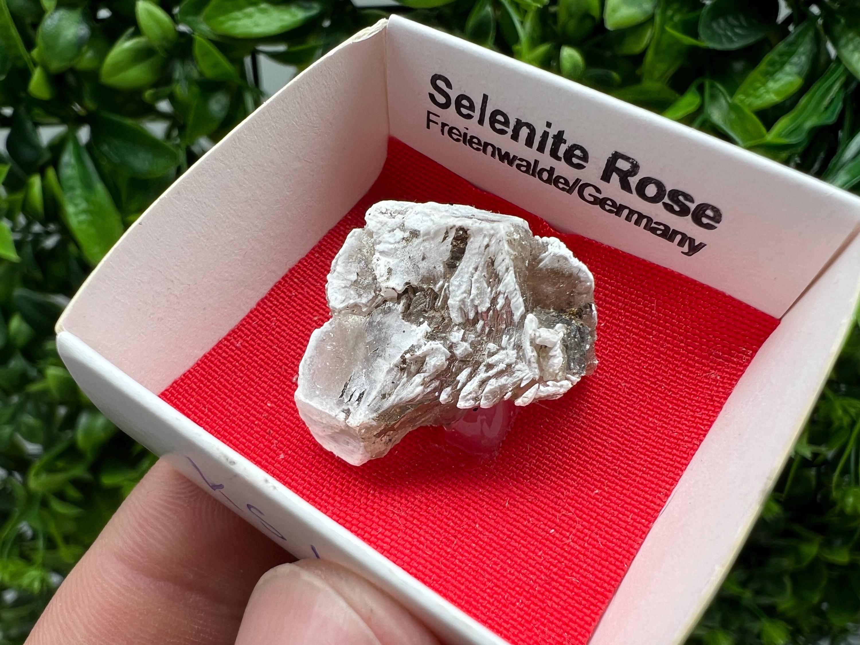 Selenite Rose Freienwalde,Germany natural crystal minerals,specimen,clusters,souvenirs,home decor,gift minerals,rare stone,collection