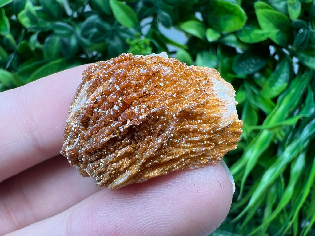 Red Vanadinite on Barite from Marocco,crystal minerals Speciment cluster Vanadinite crystal Vanadinite Geology Vanadinite cluster minerals
