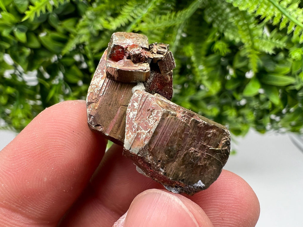 Rainbow Pyrite Hematite Cluster, Borieva Mine, Bulgaria