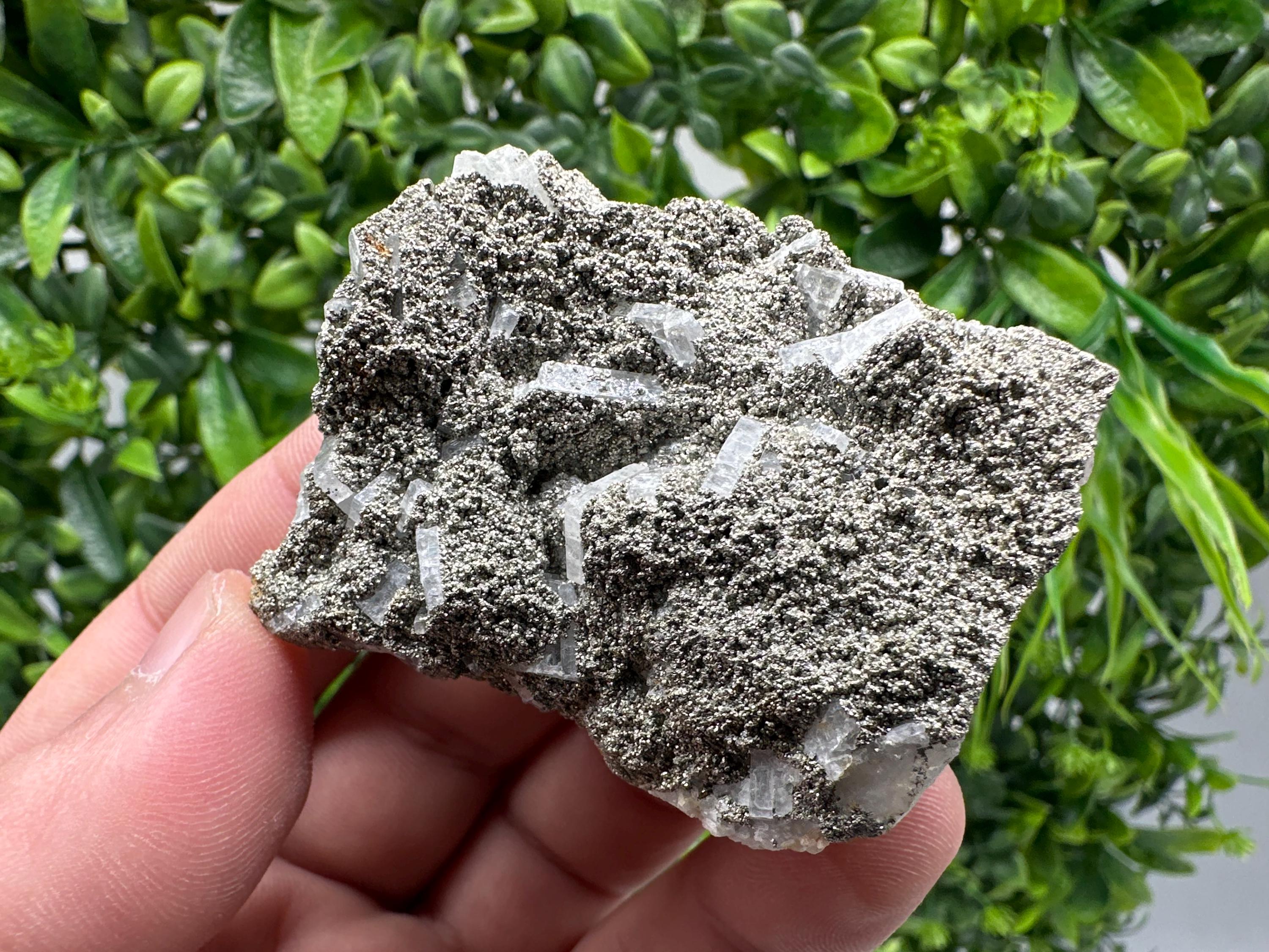 Barite Marcasite Cluster on Chalcedony - Androvo Mine, Bulgaria