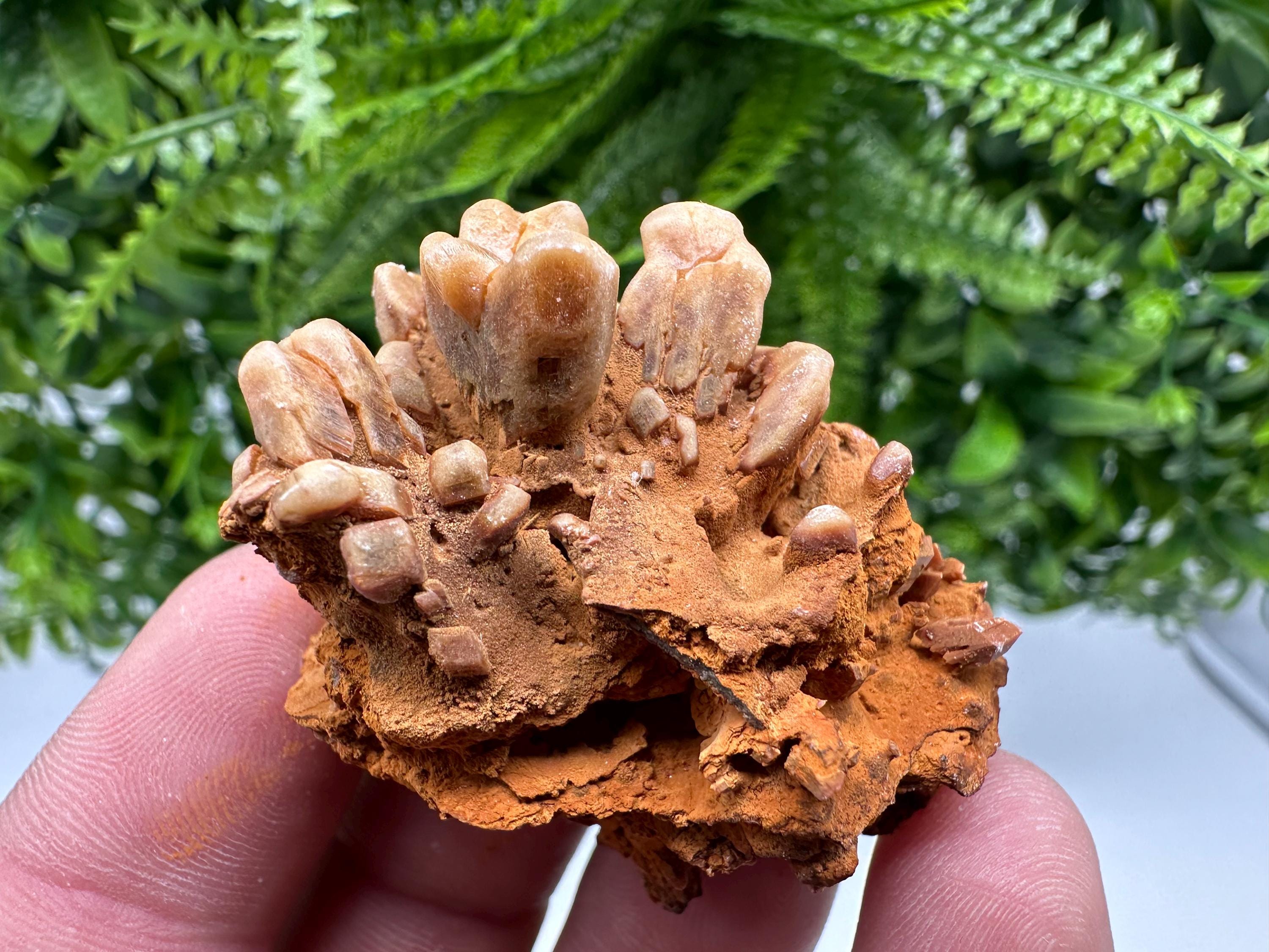 Brown Gypsum Selenite Crystal, Rudna Mine Mineral Specimen