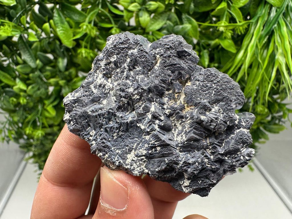 Galena Spinel Law Mineral Specimen: Krushev Dol, Bulgaria