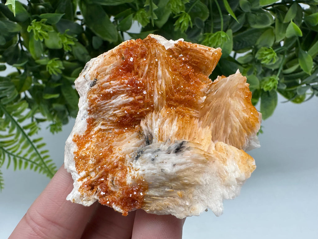 Red Vanadinite on Barite Crystal Specimen, Moroccan Mineral Cluster