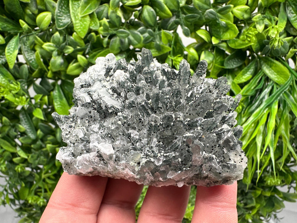 Chlorite Quartz Crystal Cluster - Borieva Mine, Bulgaria