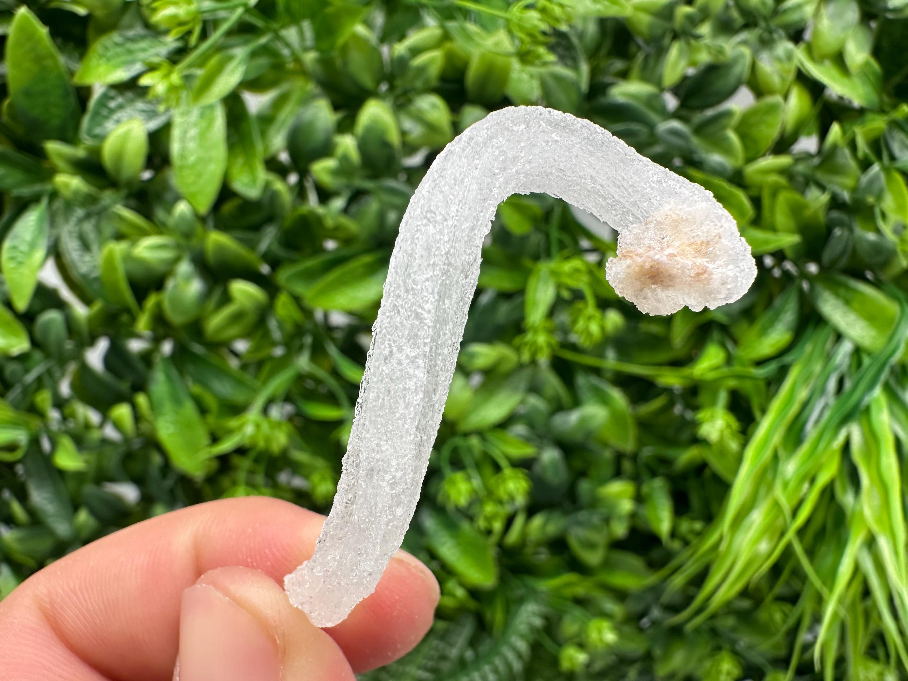White Selenite Gypsum "Ram's Horn'' Selenite,from Guizhou,China,perfect Shape and Luster,Fluorescent Selenite Gypsum,minerals specimen,colle
