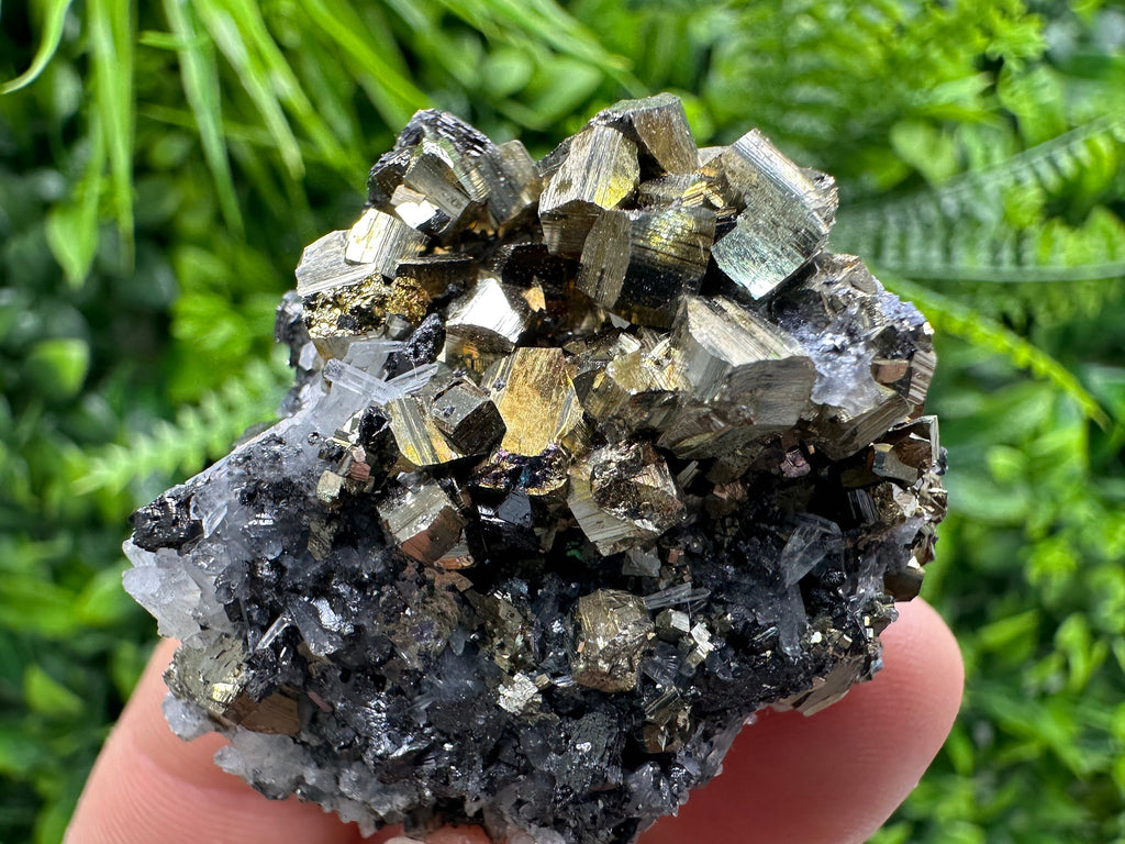 Rainbow Pyrite on Sphalerite & Quartz, Borieva Mine, Bulgaria