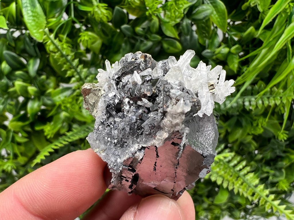 Pyrite Galena Sphalerite Quartz Specimen, Borieva Mine Bulgaria