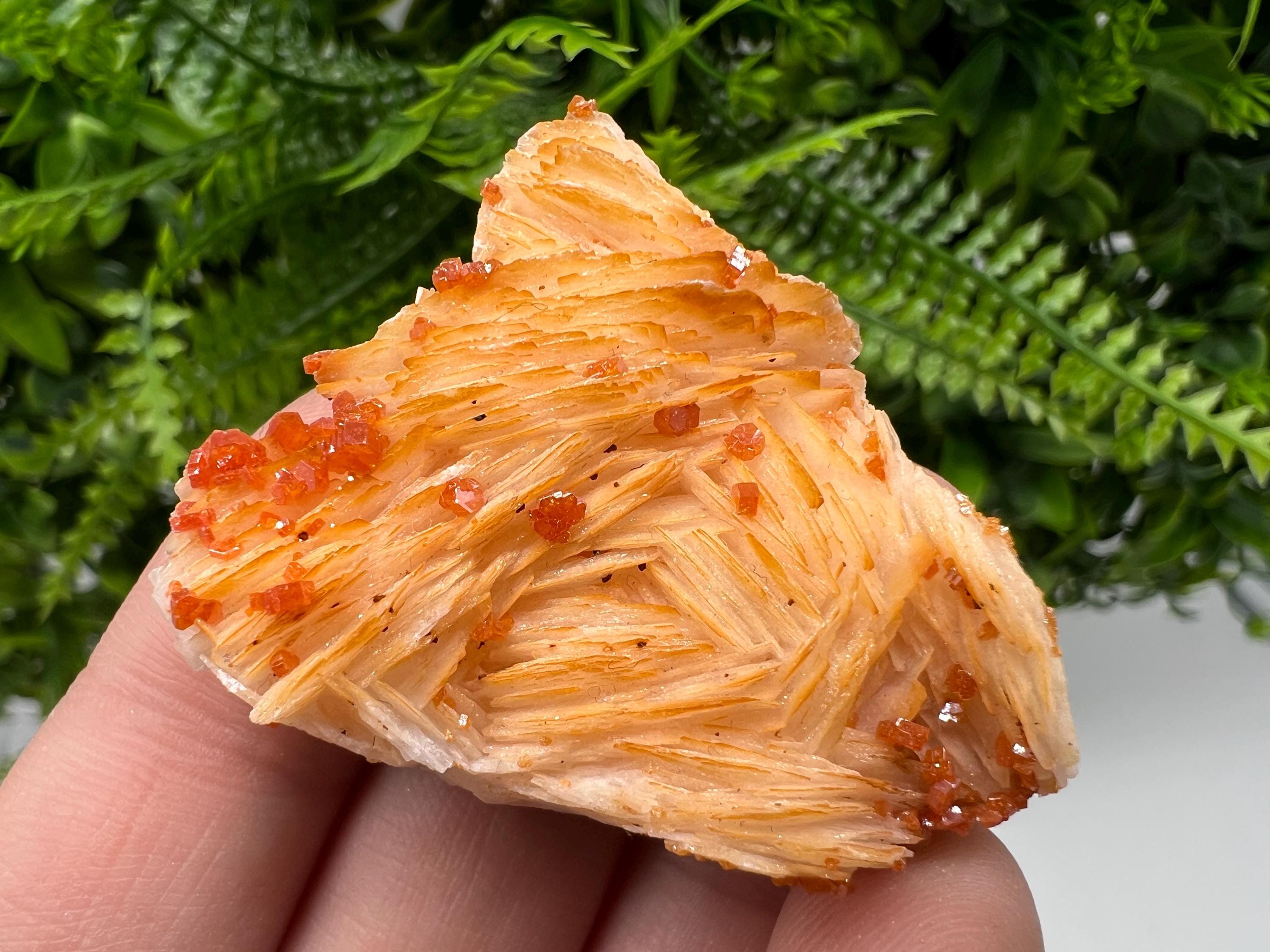 Red Vanadinite on Barite from Marocco,crystal minerals Speciment cluster Vanadinite crystal Vanadinite Geology Vanadinite cluster minerals