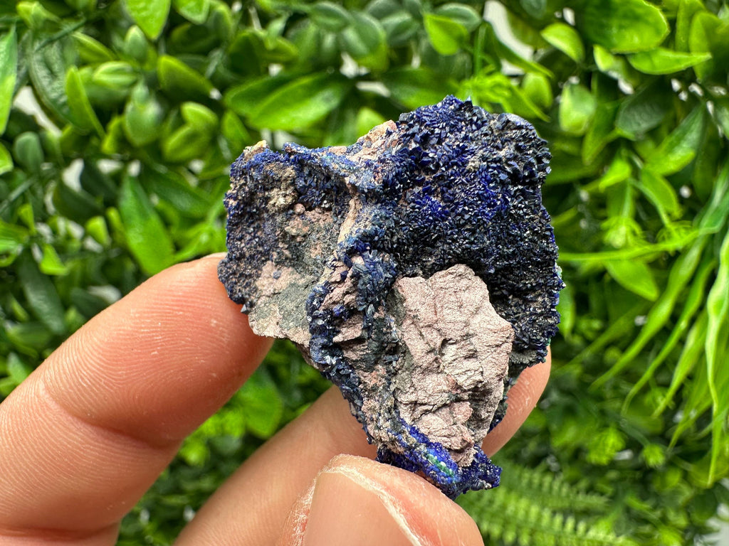 Crystallized Azurite-Kerrouchen,Morocco-Blue Azurite Specimen-High Quality Blue Azurite-Azurite Mineral Specimen, gemmy,lustrous of Azurite