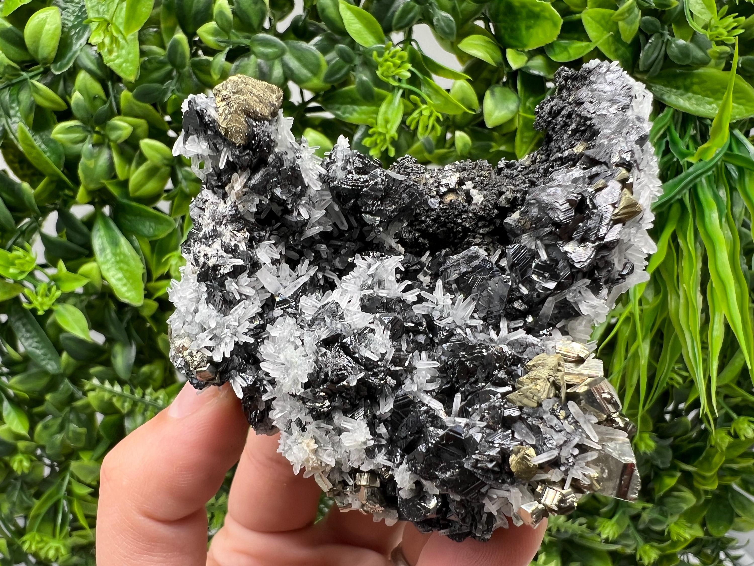 Chalcopyrite with Sphalerite on Quartz, Borieva Bulgaria