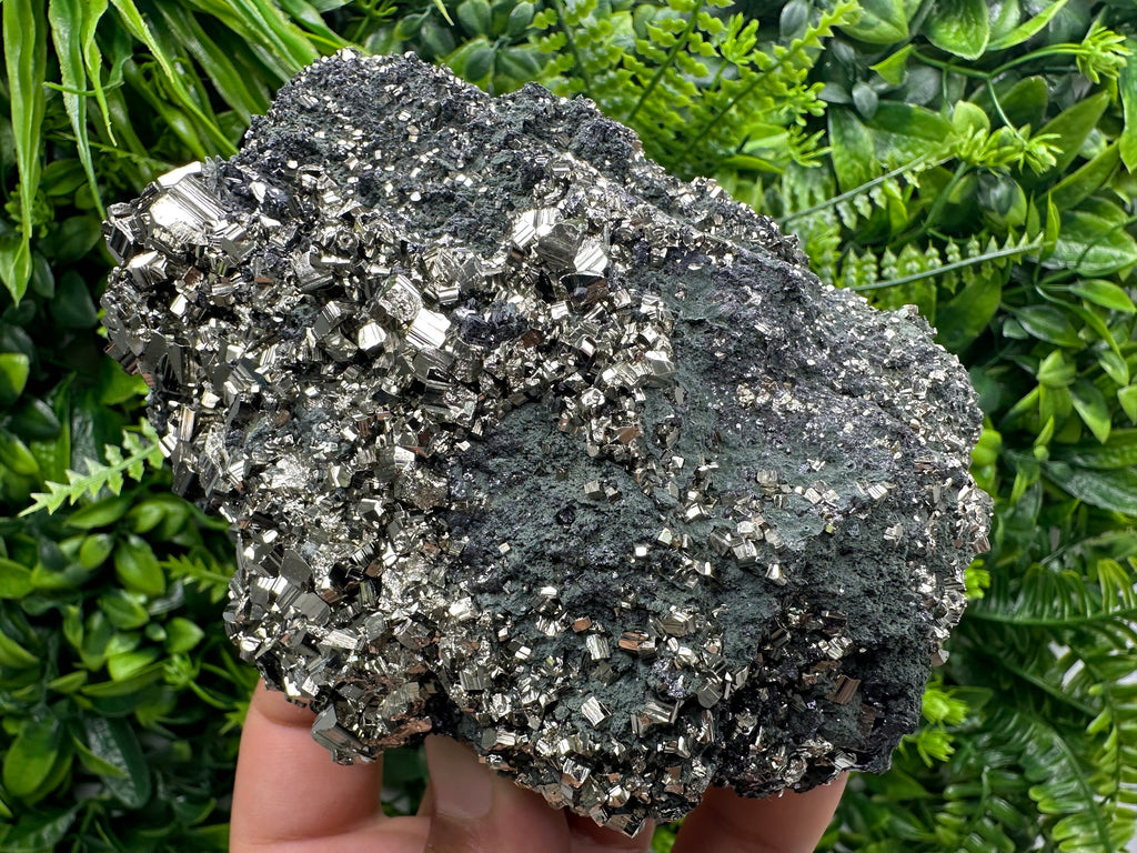 Golden Pyrite on Sphalerite with Chlorite, Bulgaria Mineral Specimen
