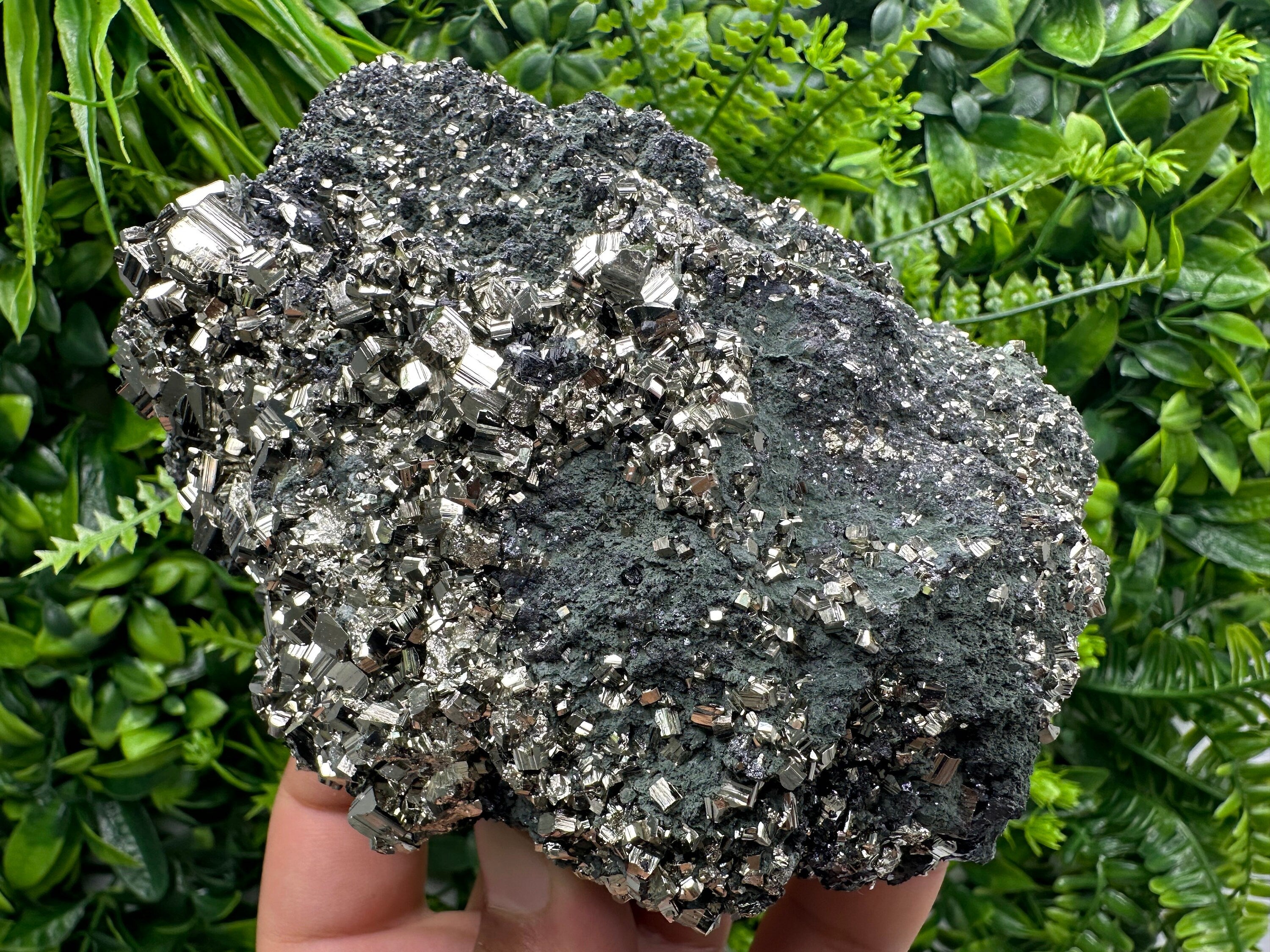 Golden Pyrite on Sphalerite with Chlorite, Bulgaria Mineral Specimen