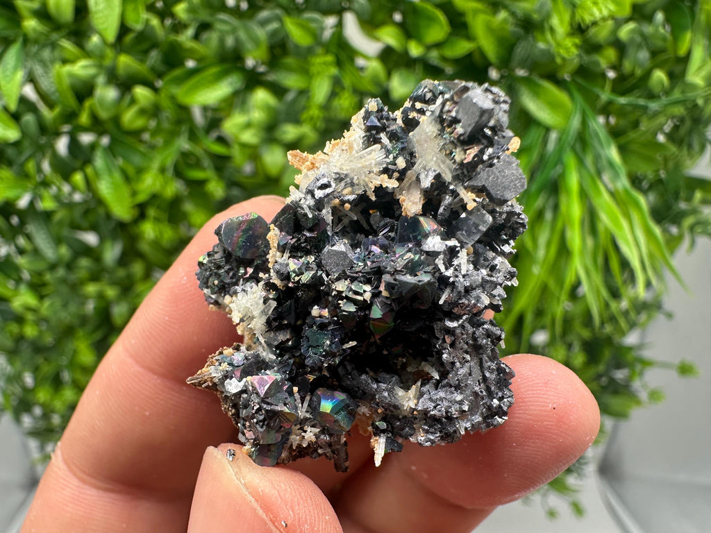 Wonderful Galena,Sphalerite,Siderite on Quartz from 9th September mine,Madan,Bulgaria,natural,collection mineral specimen,crystal,gift,decor