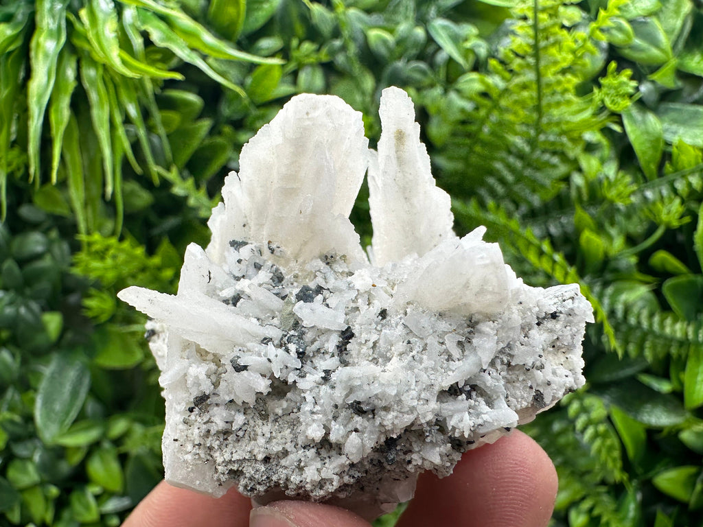 Calcite on Green Quartz: Djurcovo Mine, Bulgaria Healing Crystal