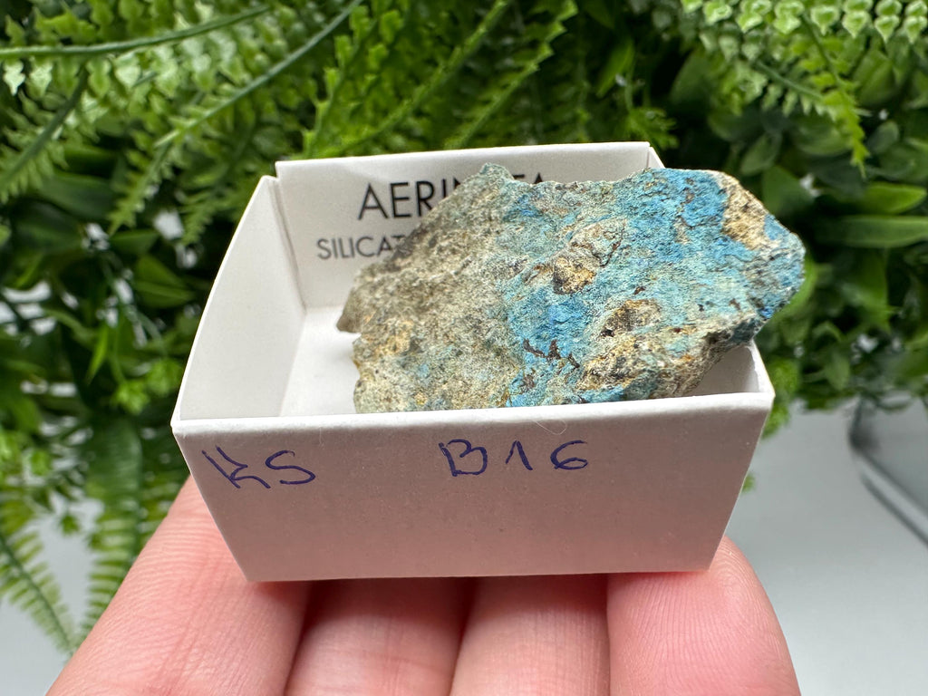Rare Raw Aerinite Mineral Specimen: Lleida, Spain Crystal