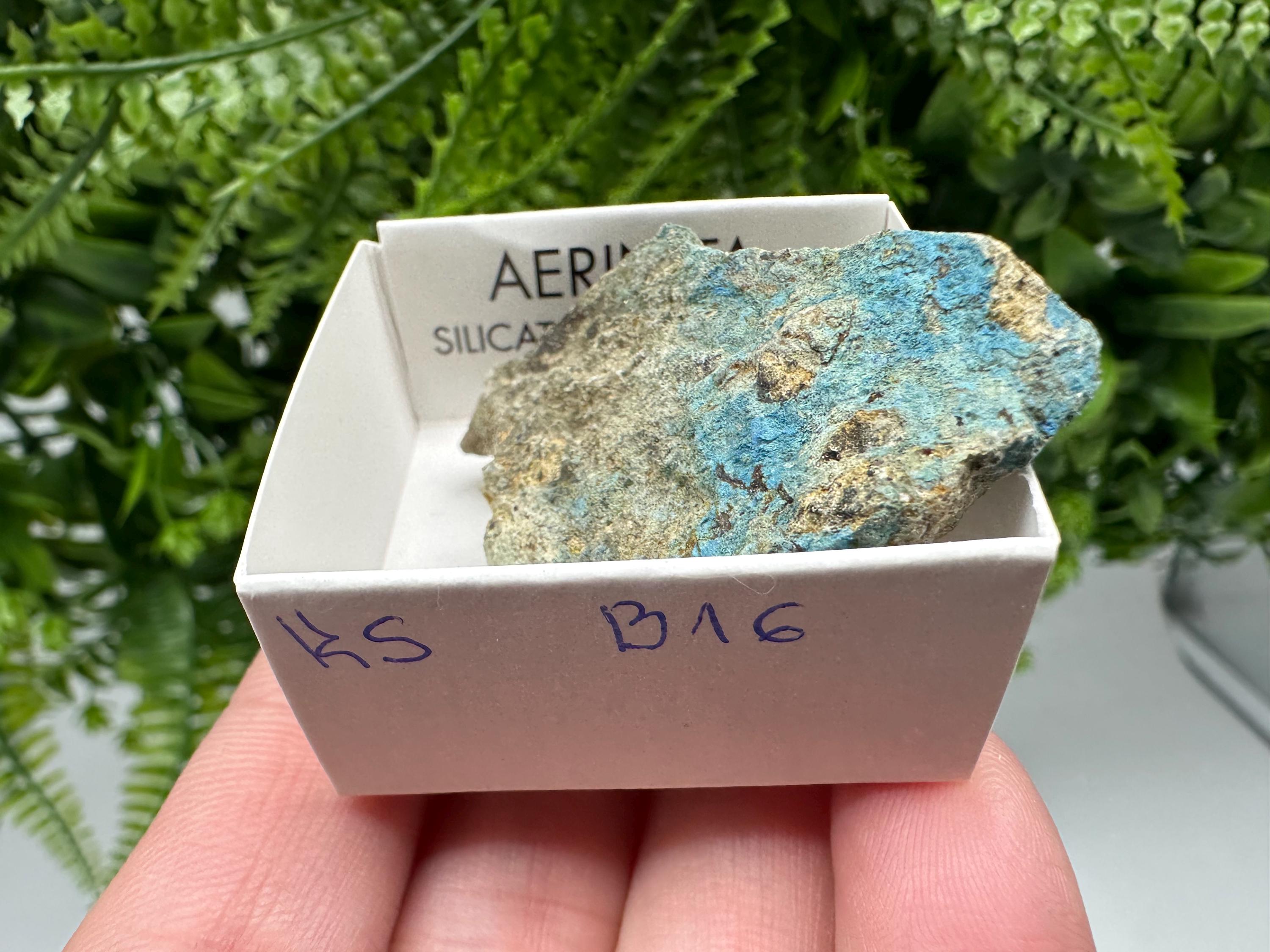 Rare Raw Aerinite Mineral Specimen: Lleida, Spain Crystal