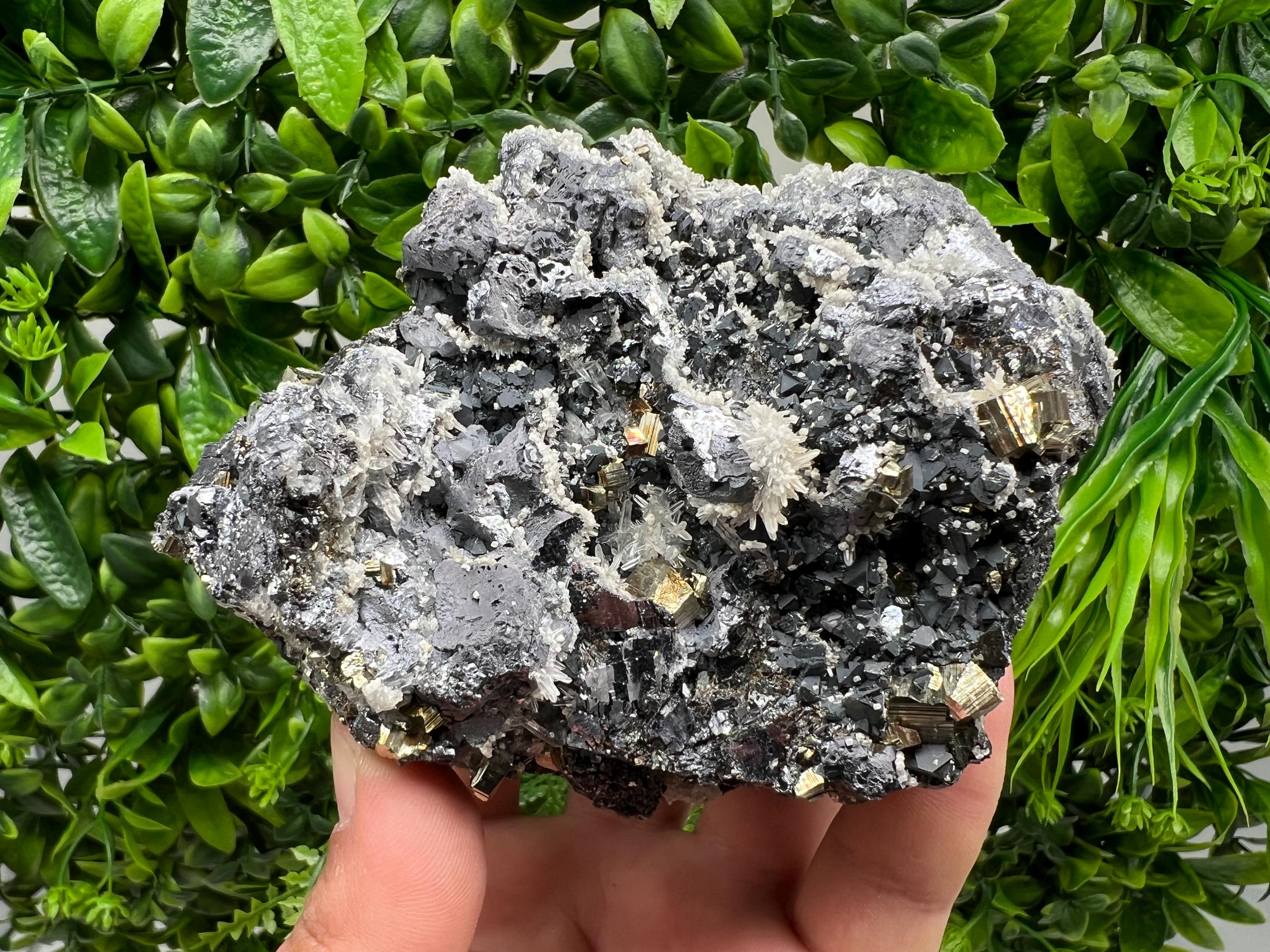 Galena Sphalerite Quartz Pyrite Mineral Specimen: Madan Bulgaria Rare Crystal
