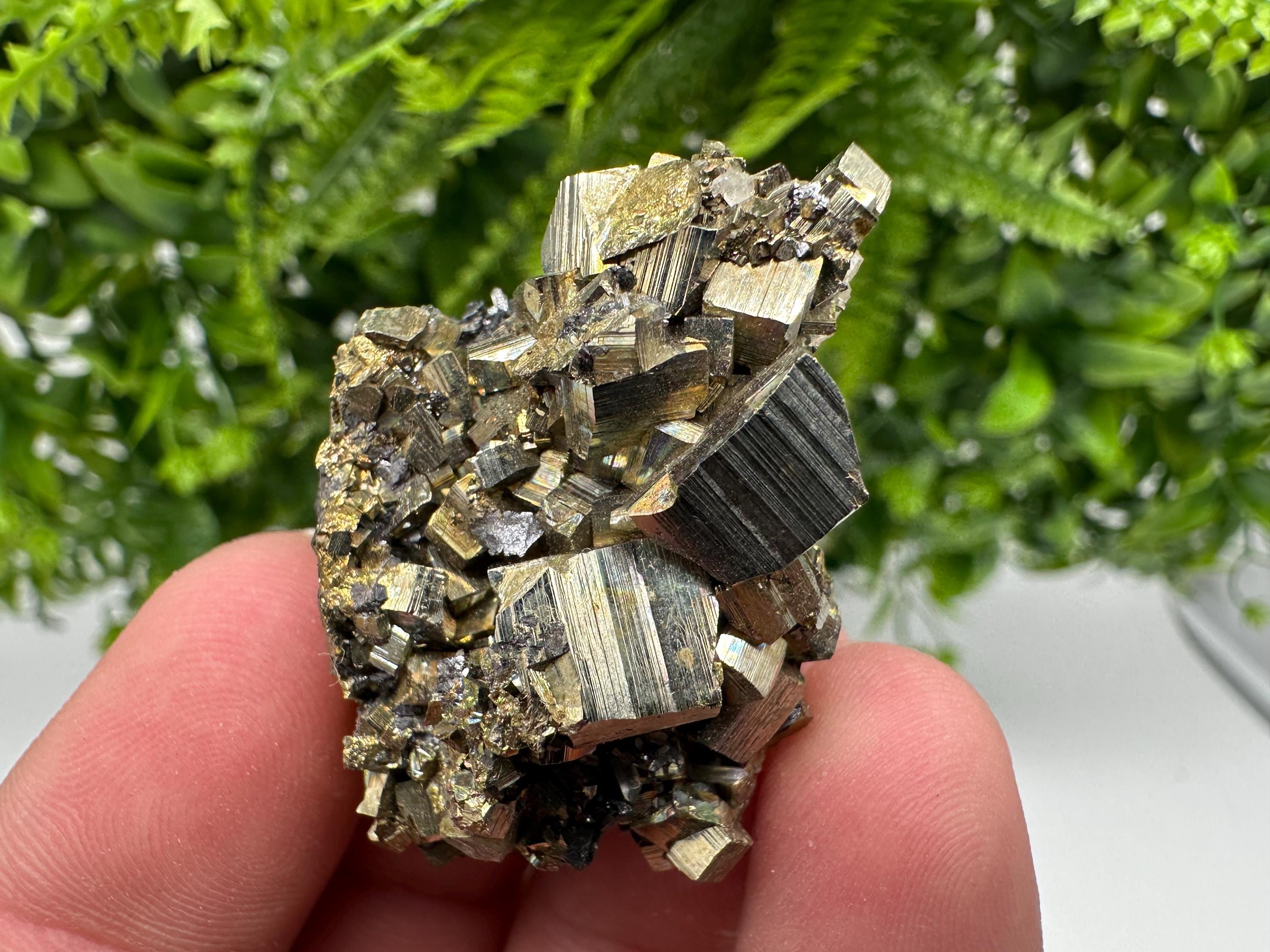 Rare Crystallized Pyrite Cluster - Borieva Mine, Bulgaria