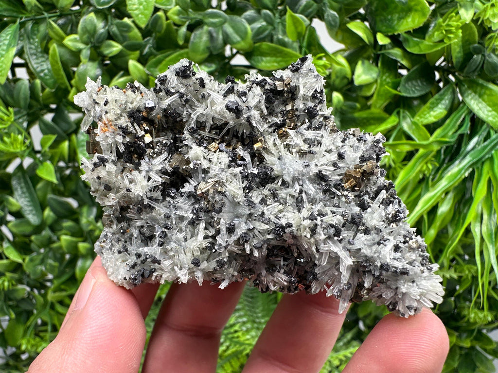 Pyrite on Needle Quartz, Madan Bulgaria, Mineral Specimen