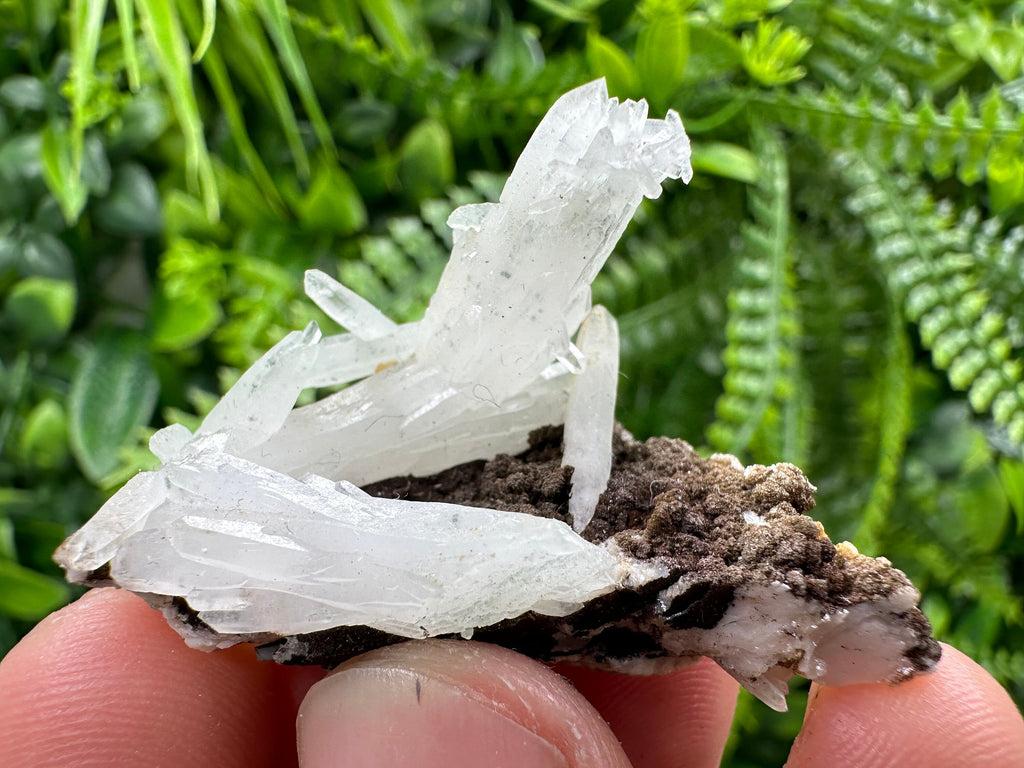 Quartz with Chlorite, Rhodochrosite and Siderite Crystal Mineral Specimen