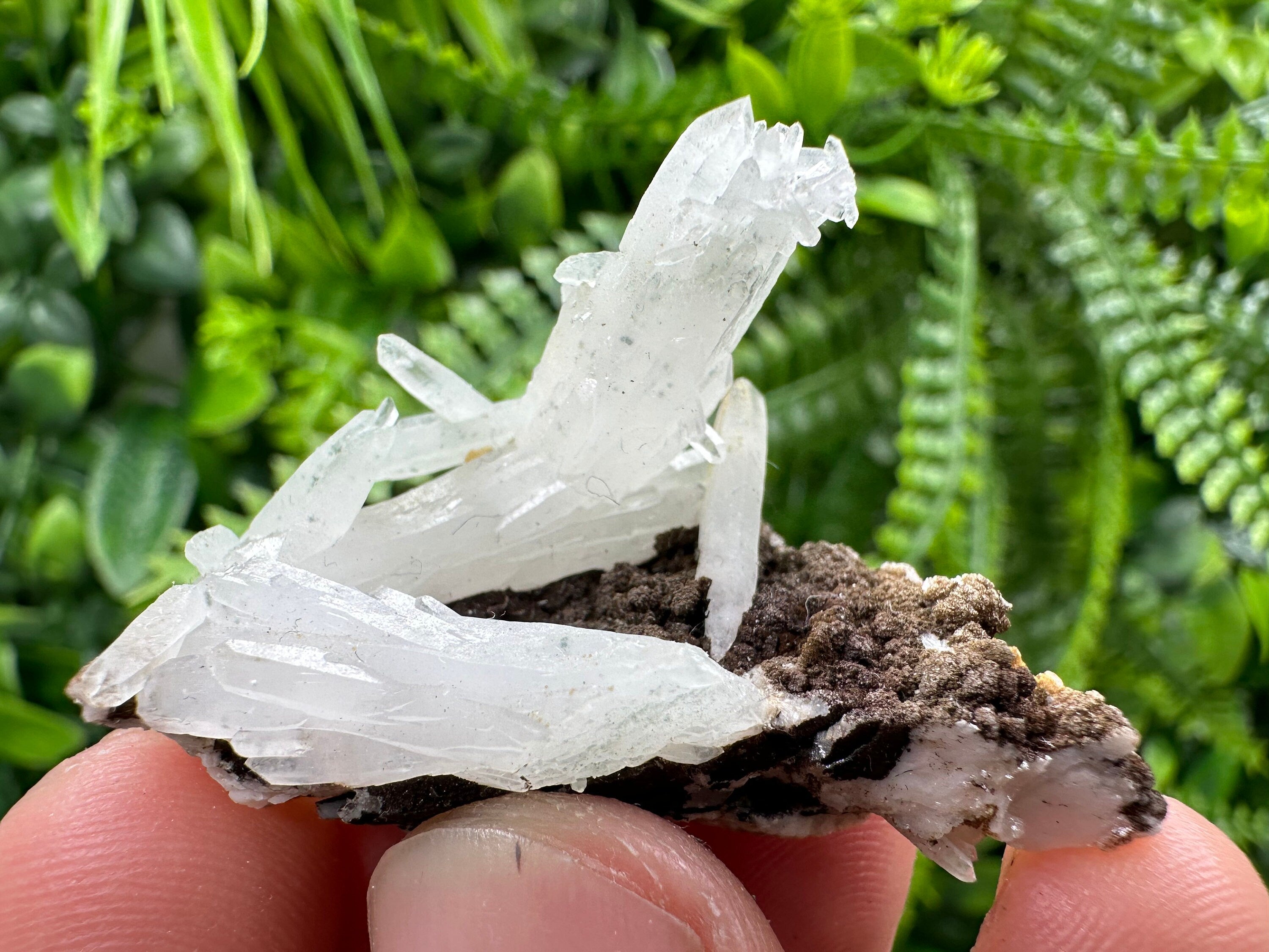 Quartz with Chlorite, Rhodochrosite and Siderite Crystal Mineral Specimen