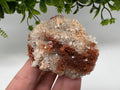 Extra Large Aragonite Sputnik Cluster: Moroccan Raw Crystal Stone