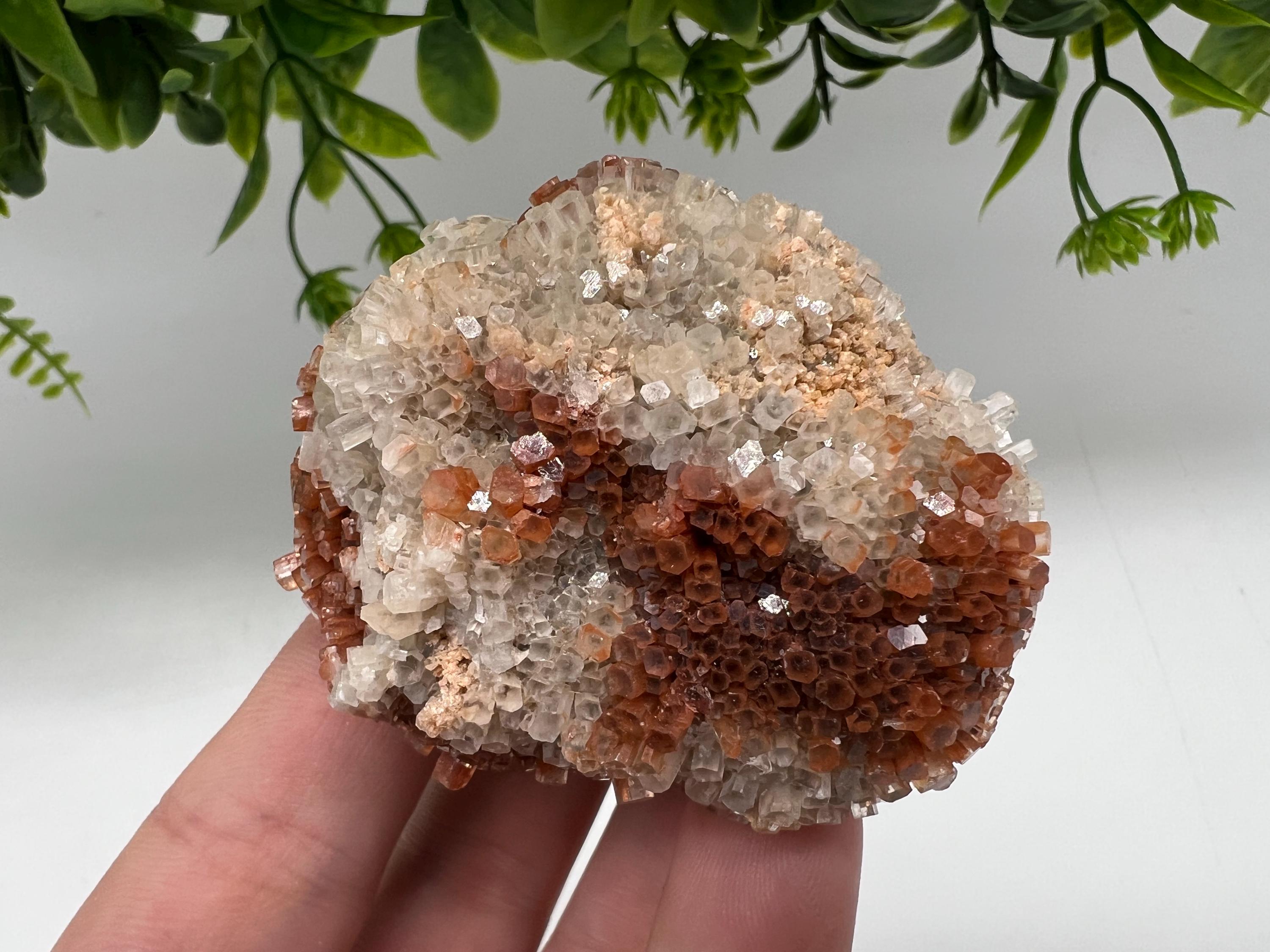 Extra Large Aragonite Sputnik Cluster: Moroccan Raw Crystal Stone