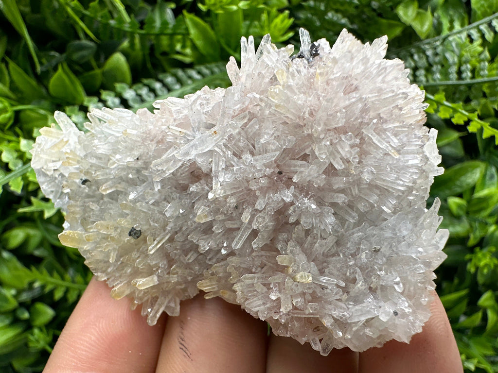 Quartz with Chlorite and Hematite Inclusions: Borieva Mine Crystal Decor