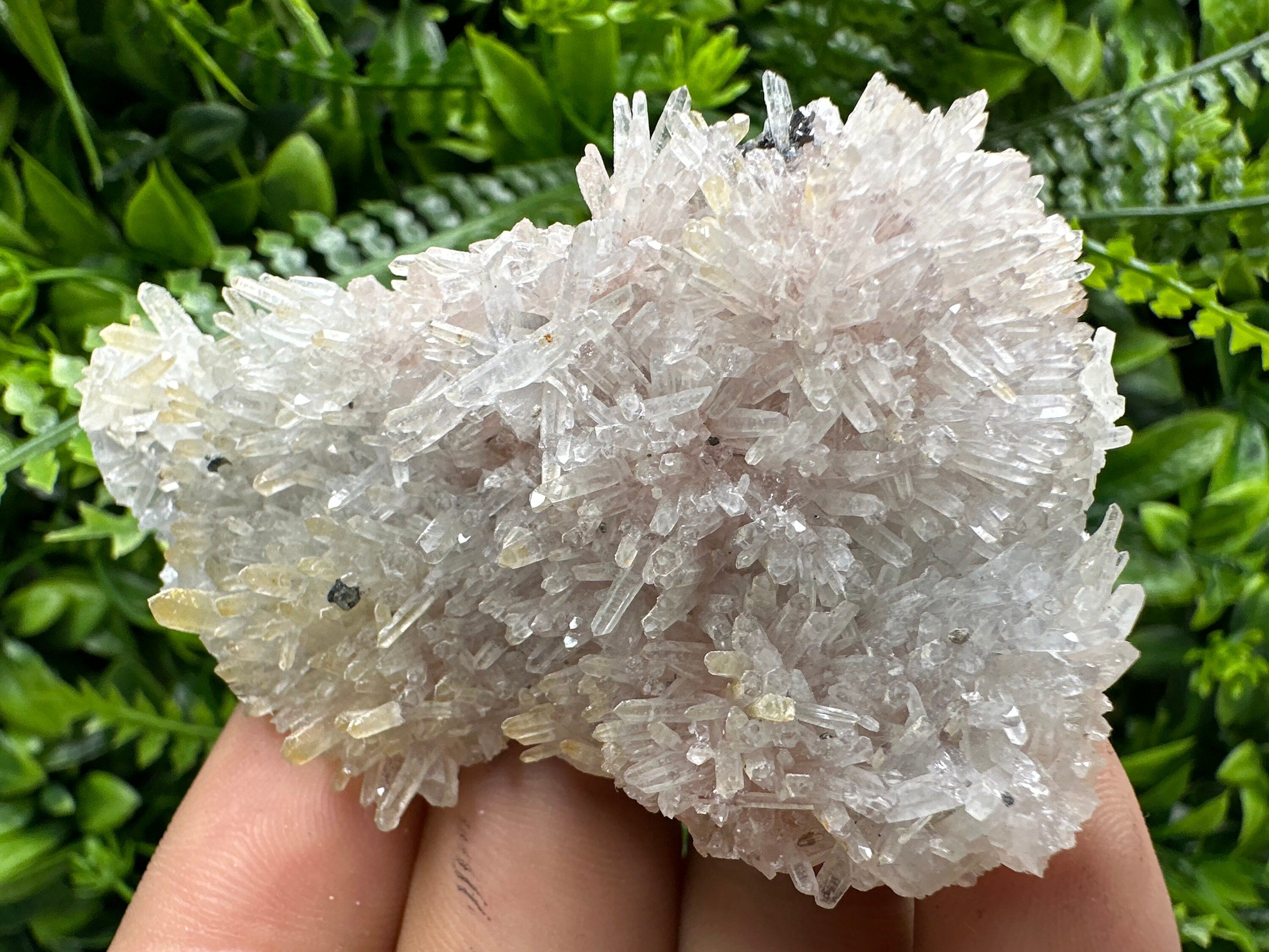 Quartz with Chlorite and Hematite Inclusions: Borieva Mine Crystal Decor