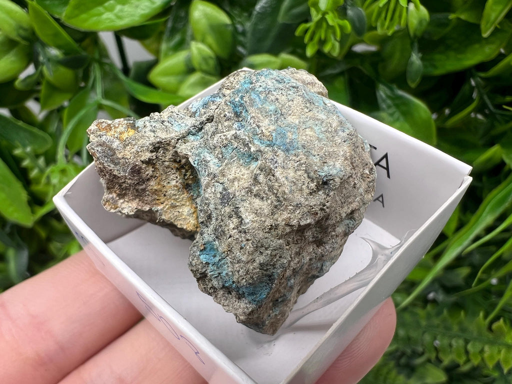 Rare Raw Aerinite Mineral Specimen: Collection Crystal from Lleida, Spain (4/4 cm