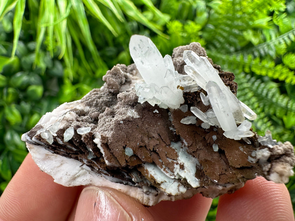Quartz with Chlorite, Rhodochrosite, Siderite Crystal Home Decor
