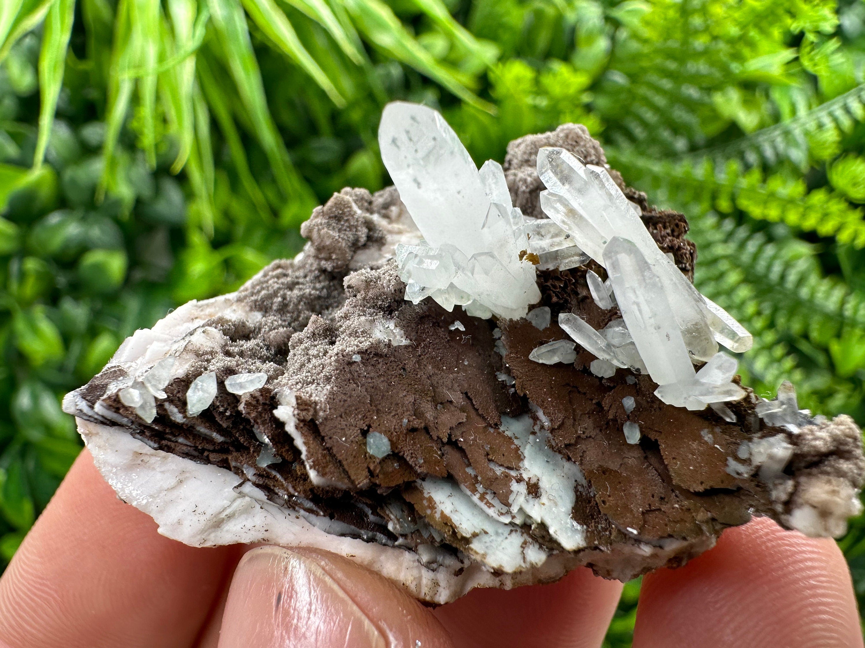 Quartz with Chlorite, Rhodochrosite, Siderite Crystal Home Decor
