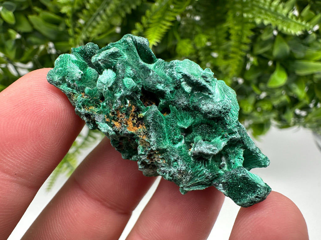 Malachite Crystal from Congo,Minerals,Crystals from Congo,Green Malachite, Malachite,Natural Malachite,Malachite Stone,Chakra, Specimens