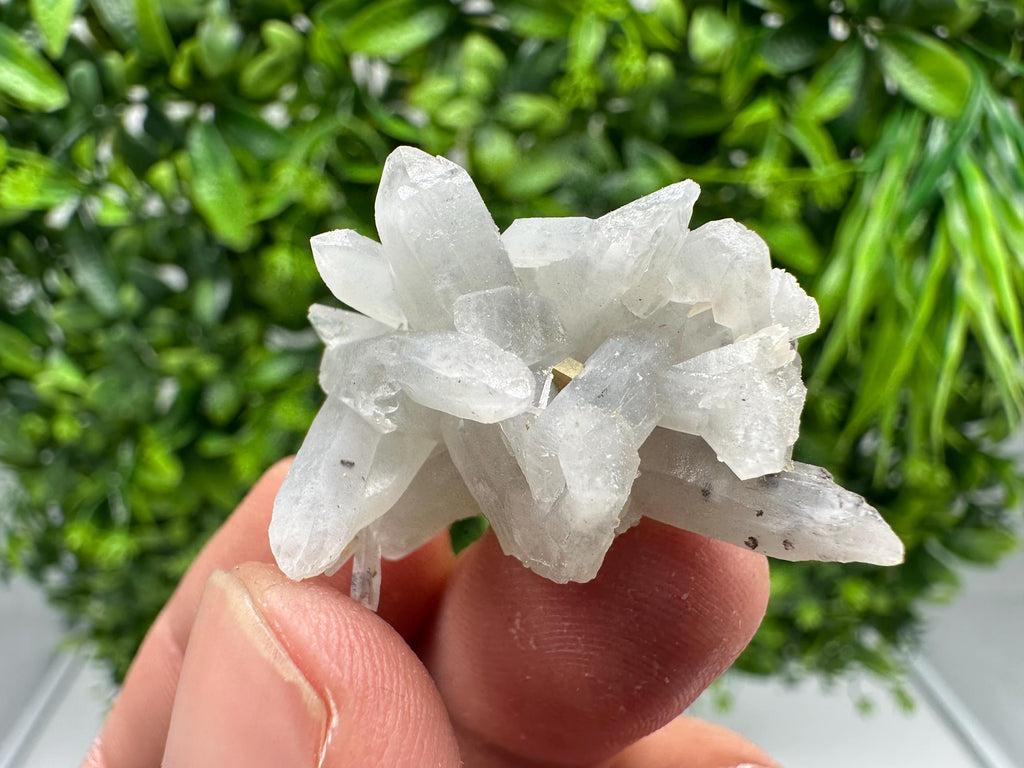Lovely specimen Green Quartz inclusions Chlorite and Sphalerite/ Natural minerals/ Souvenir crystal gift minerals famous 9th September/Madan