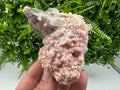 Pink Rhodochrosite Mineral Specimen: Starnica Mine, Bulgaria
