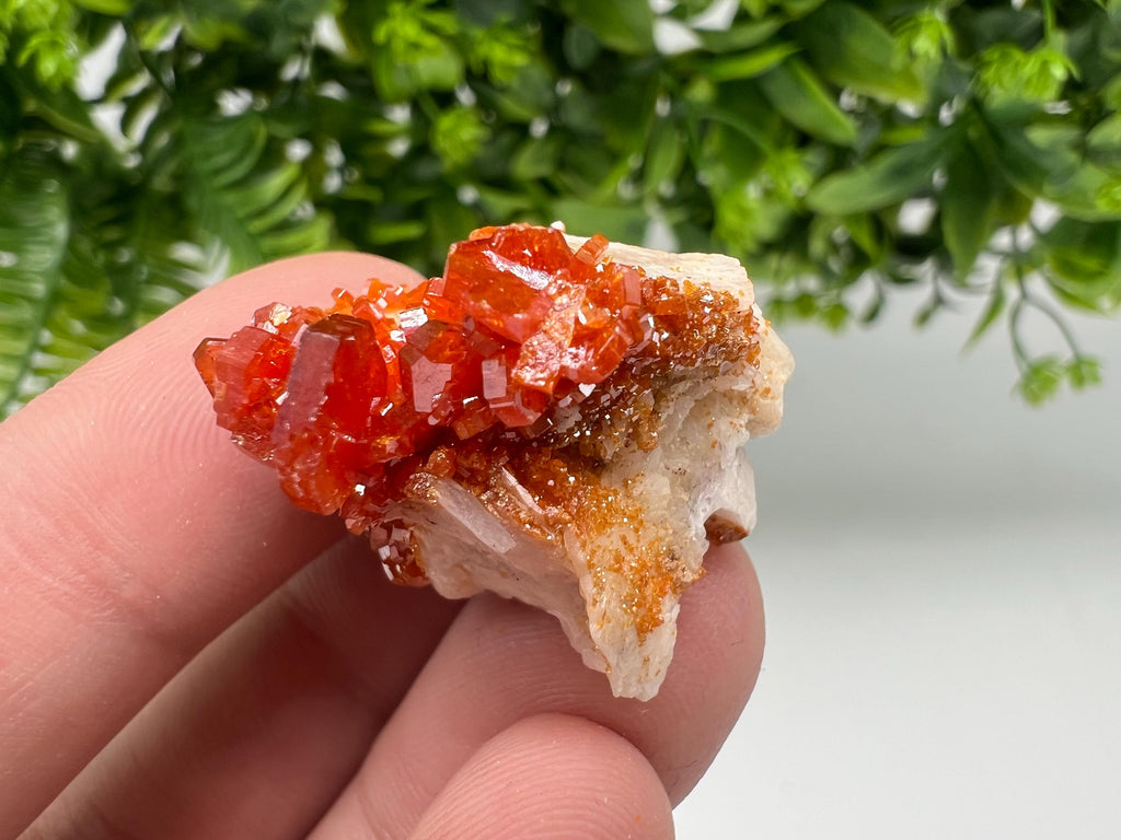 Red Vanadinite on Barite from Marocco,crystal minerals Speciment cluster Vanadinite crystal Vanadinite Geology Vanadinite cluster minerals