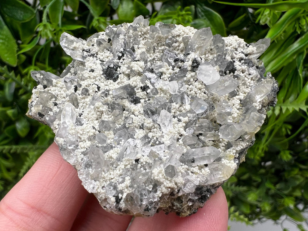 Chlorite Epidote Quartz Specimen, Borieva Mine, Bulgaria