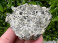 Chlorite Epidote Quartz Specimen, Borieva Mine, Bulgaria