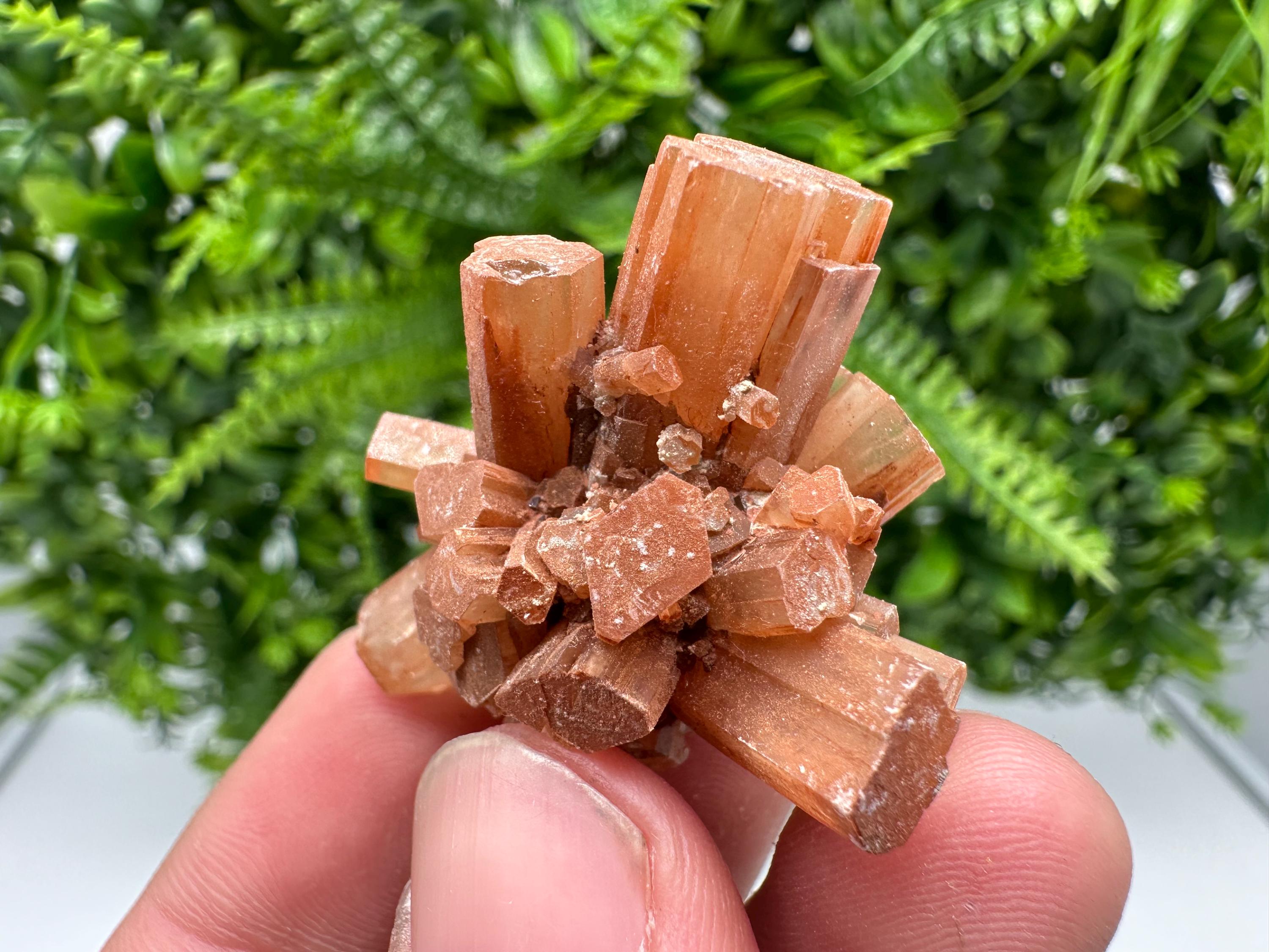 Moroccan Aragonite Sputnik Cluster: Raw Crystal Stone Decor