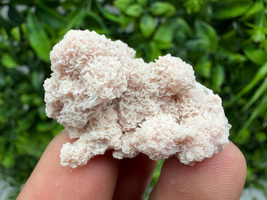 Stunning Quartz whit Chlorite on Rhodochrosite covered whit siderite natural minerals souvenir crystal home decor stone 9th September mine
