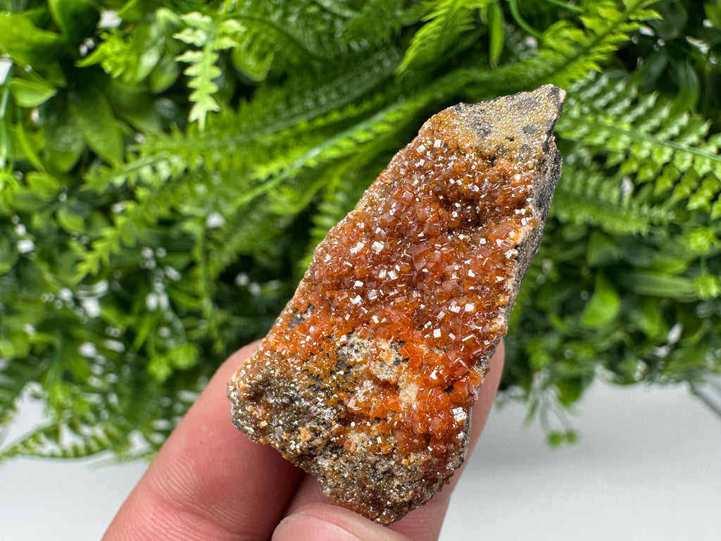 Red Vanadinite Crystal Cluster on Matrix, Morocco Mineral Specimen