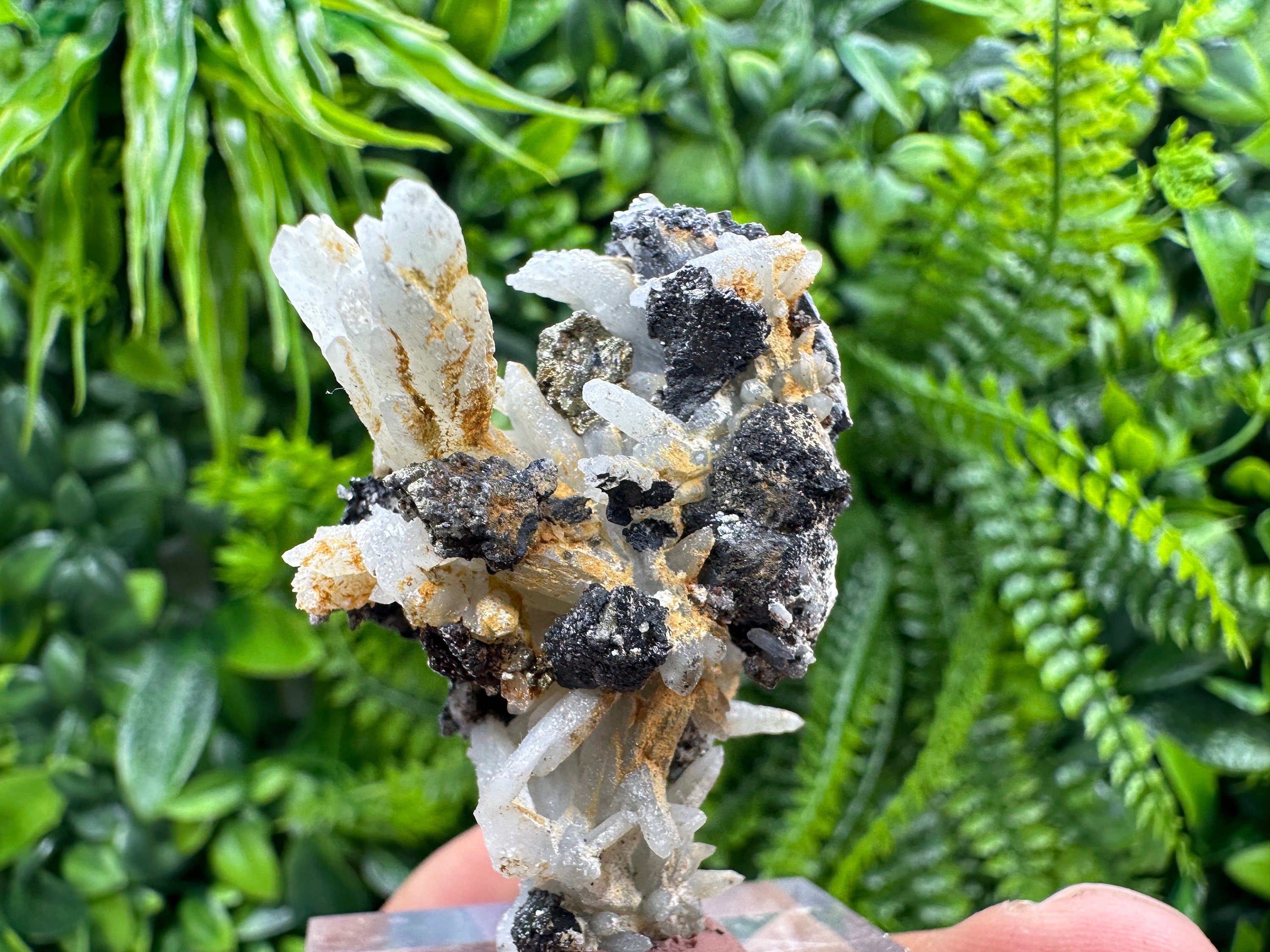 Green Quartz with Galena Chalcopyrite: Madan Bulgaria Mineral Decor