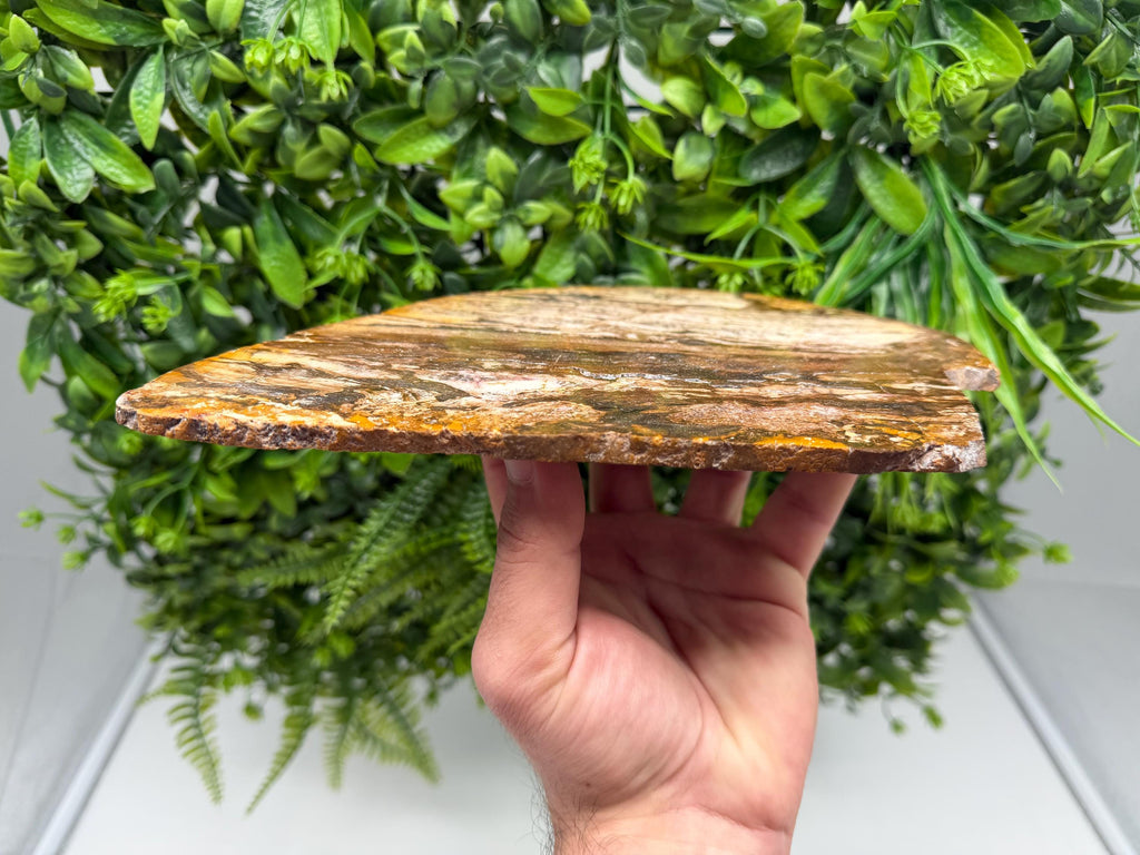 Polished Landscape Jasper Slab – Natural Scenic Stone Slice, Grounding Decor (22/17 CM)