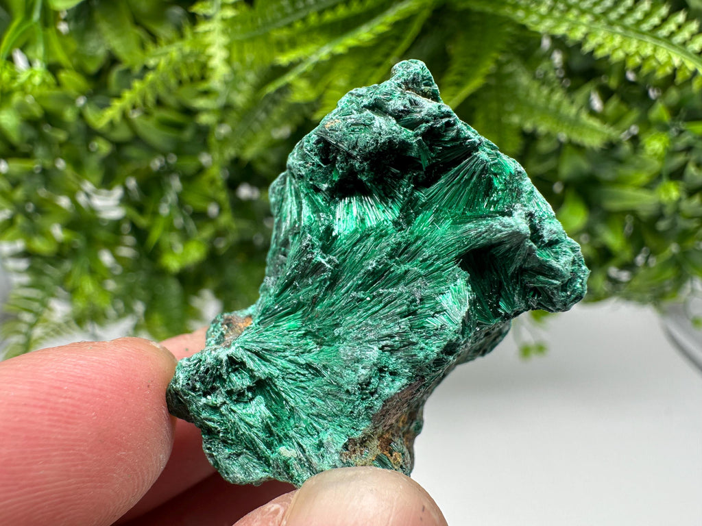 Green Polished Malachite Crystal Specimen from Congo