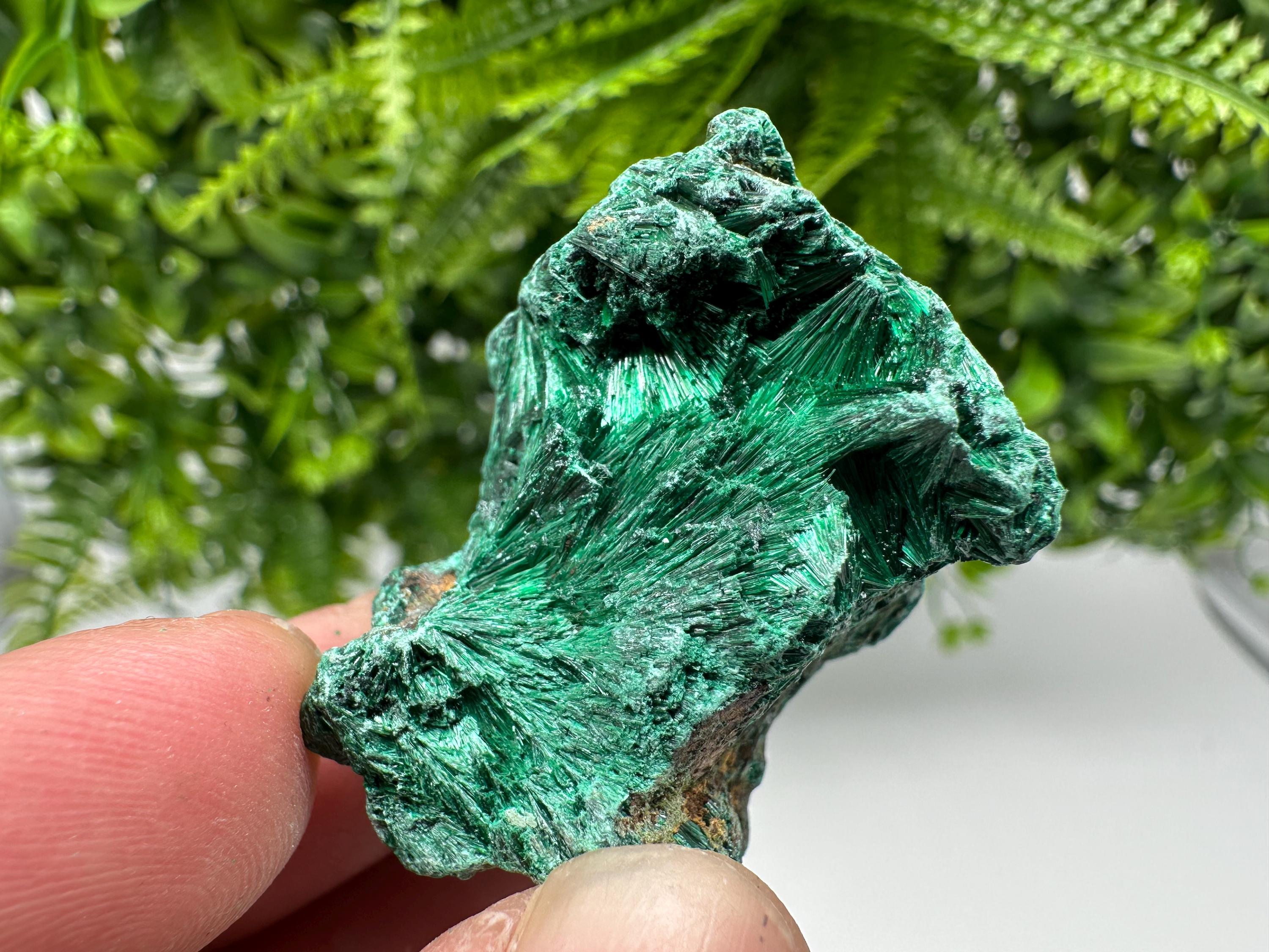 Green Polished Malachite Crystal Specimen from Congo
