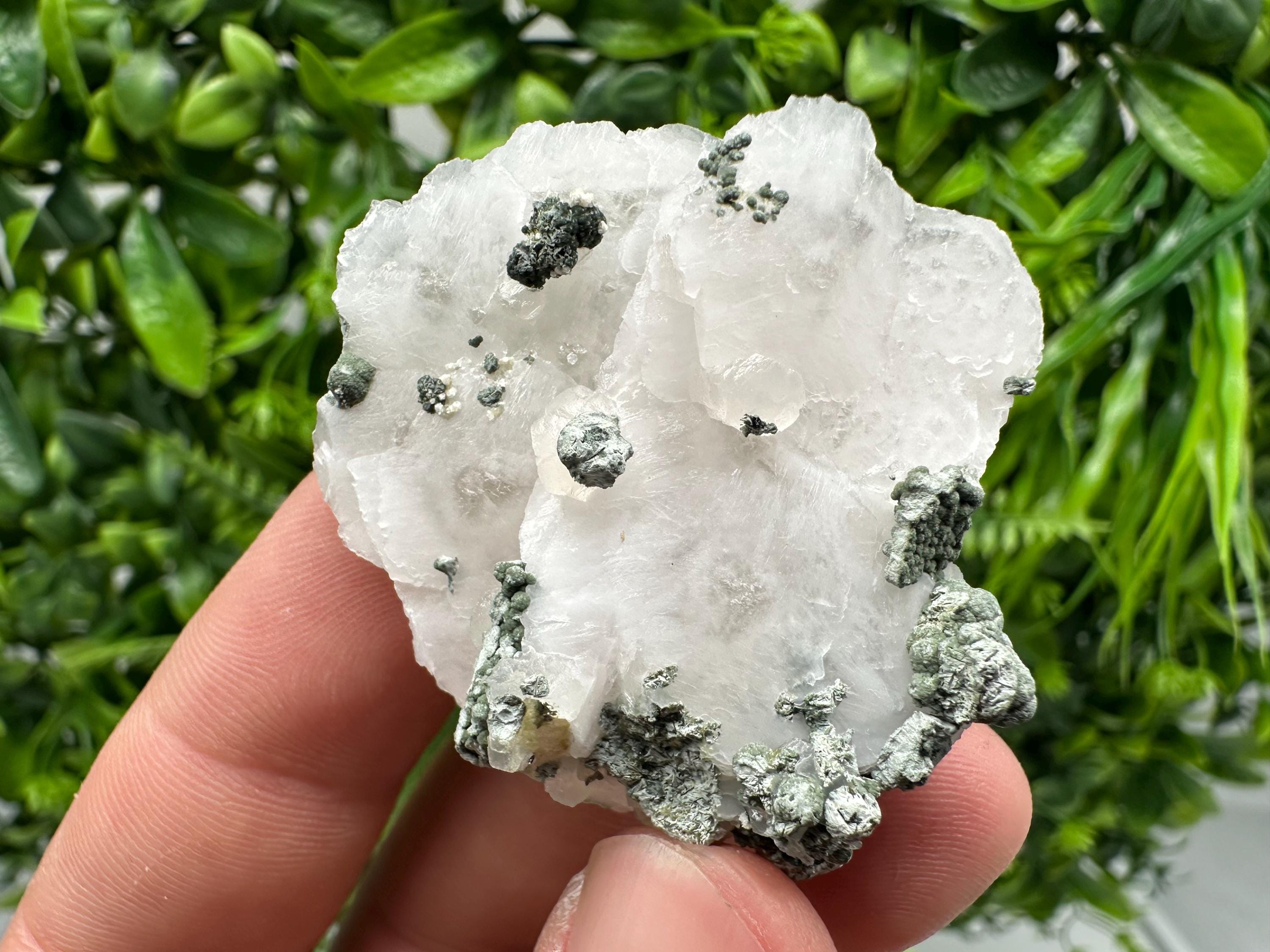 UV Mangano Calcite: Borieva Mine, Bulgaria Crystal Decor