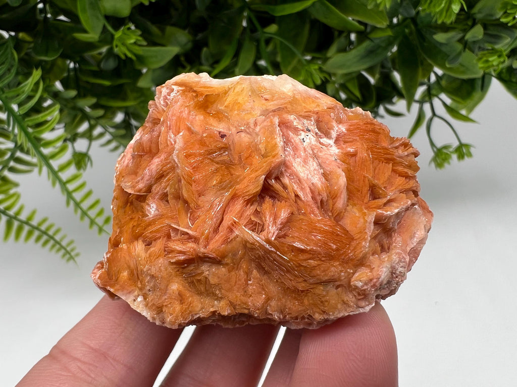 Wonderful Baryte with Cerussite on Galena from Morocco,Crystal, Mineral,Specimen,Cluster,Crystals,Barite Crystal,Cerussite Crystal,Specimen
