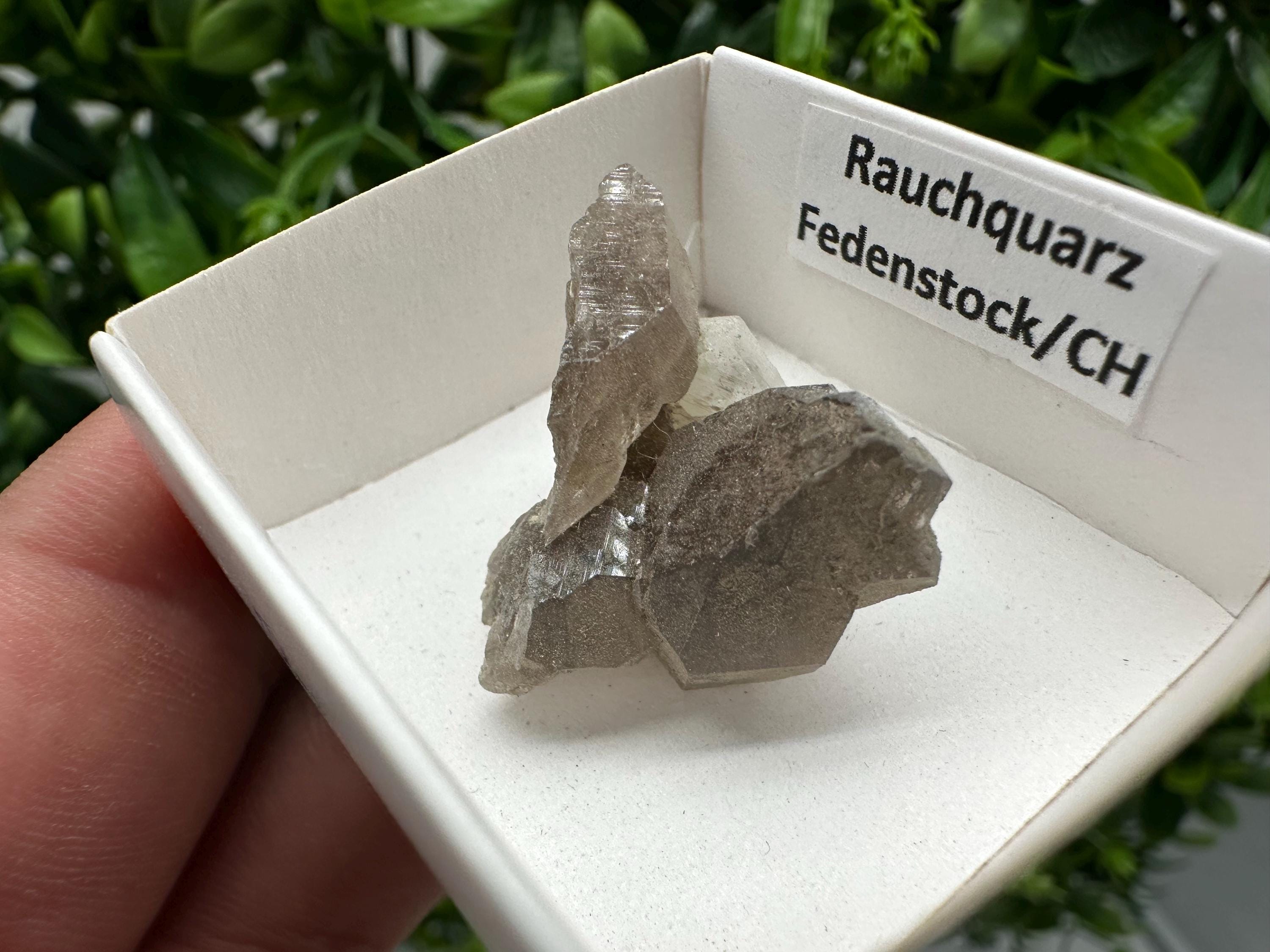Rare Smoky Quartz from Fedenstock (mountain) Switzerland,Mineral,Specimen,Collection,Black Quartz,Mineral,Home,Smoky Quartz,Quartz point