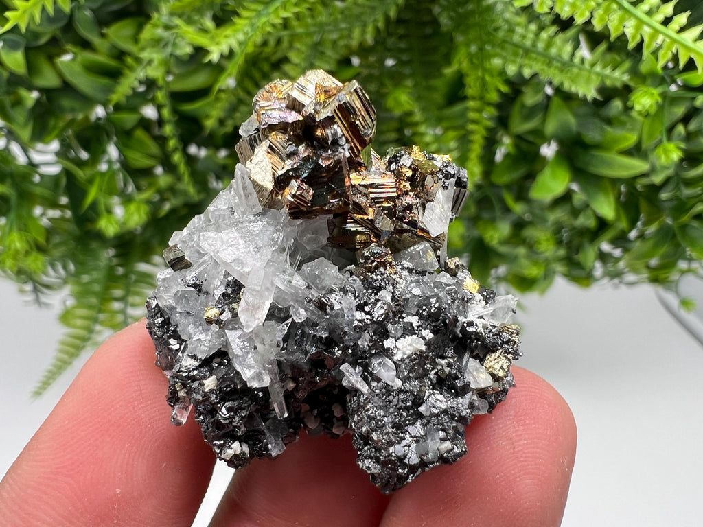Wonderful Quartz whit Pyrite natural minerals crystal souvenir stone,collection minerals specimen,gift,home decor crystal,Borieva mine,
